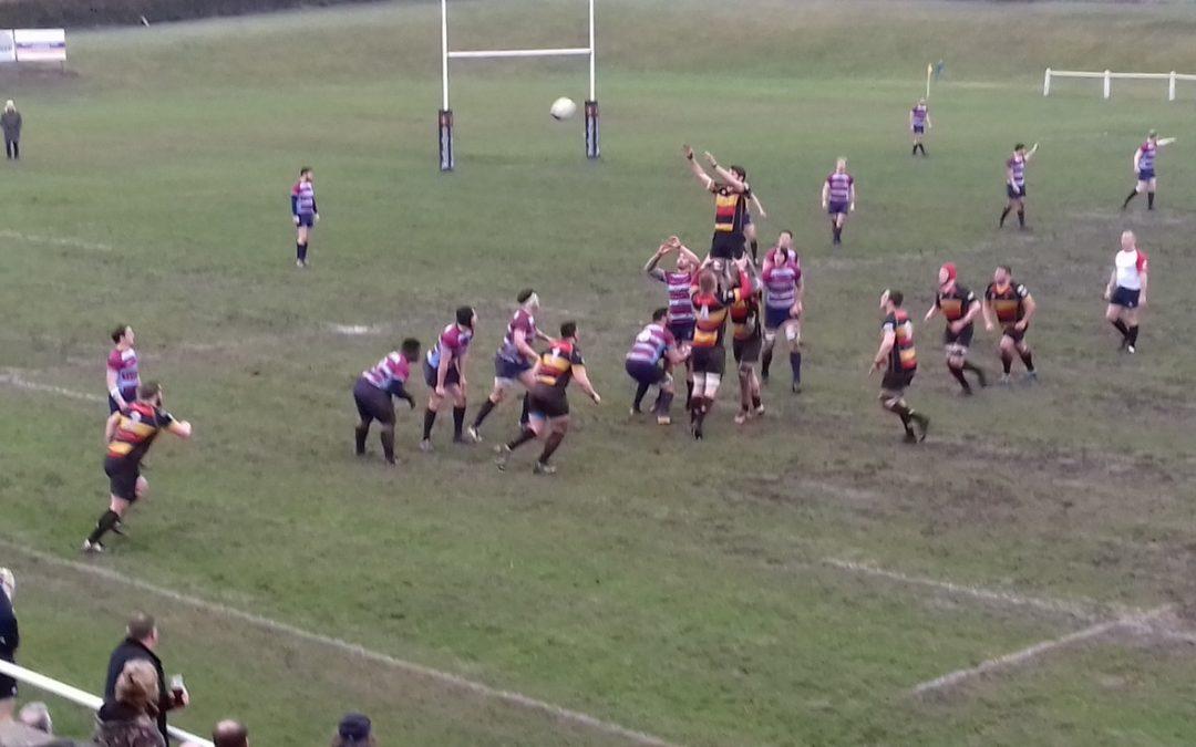 Cinderford 45-8 Wimbledon