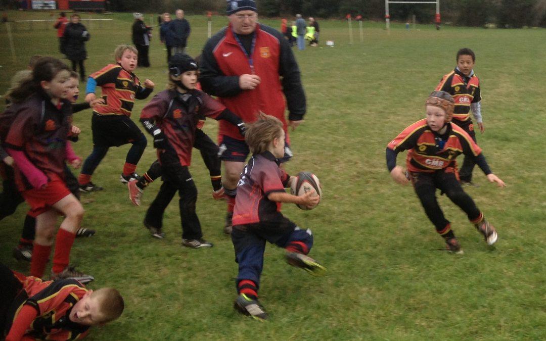 Cinderford Under 9’s v Bream