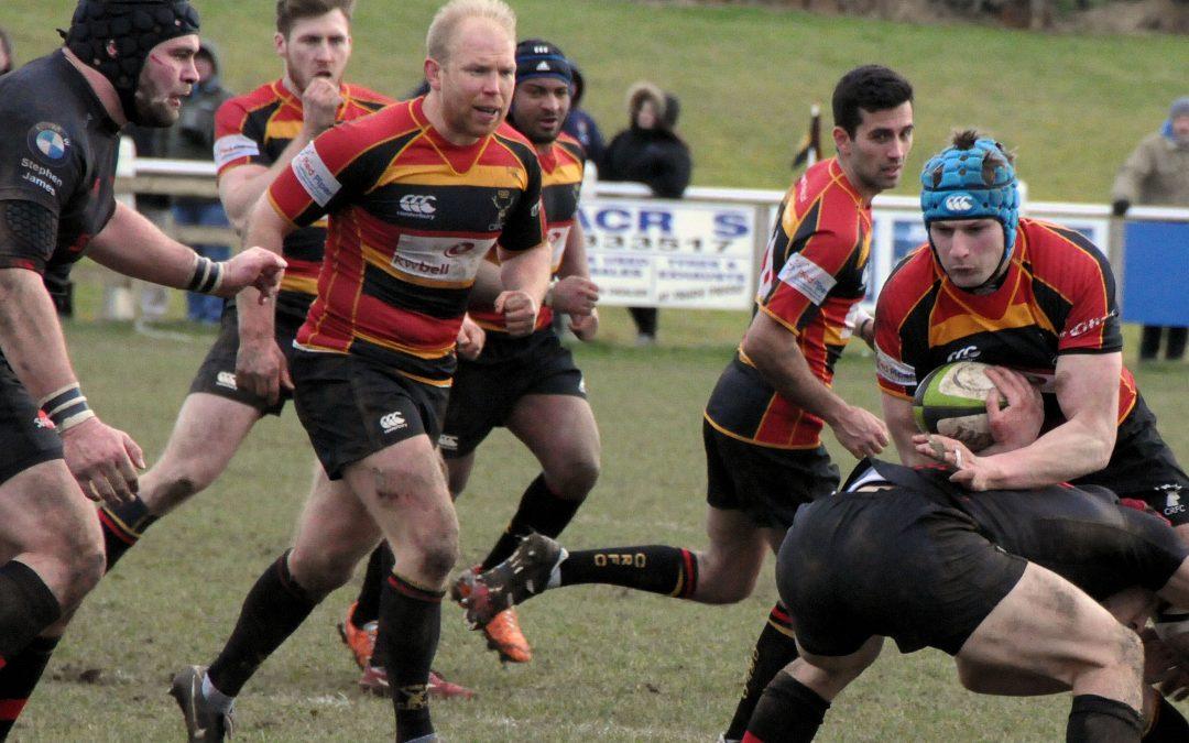 Rosslyn Park v Cinderford preview