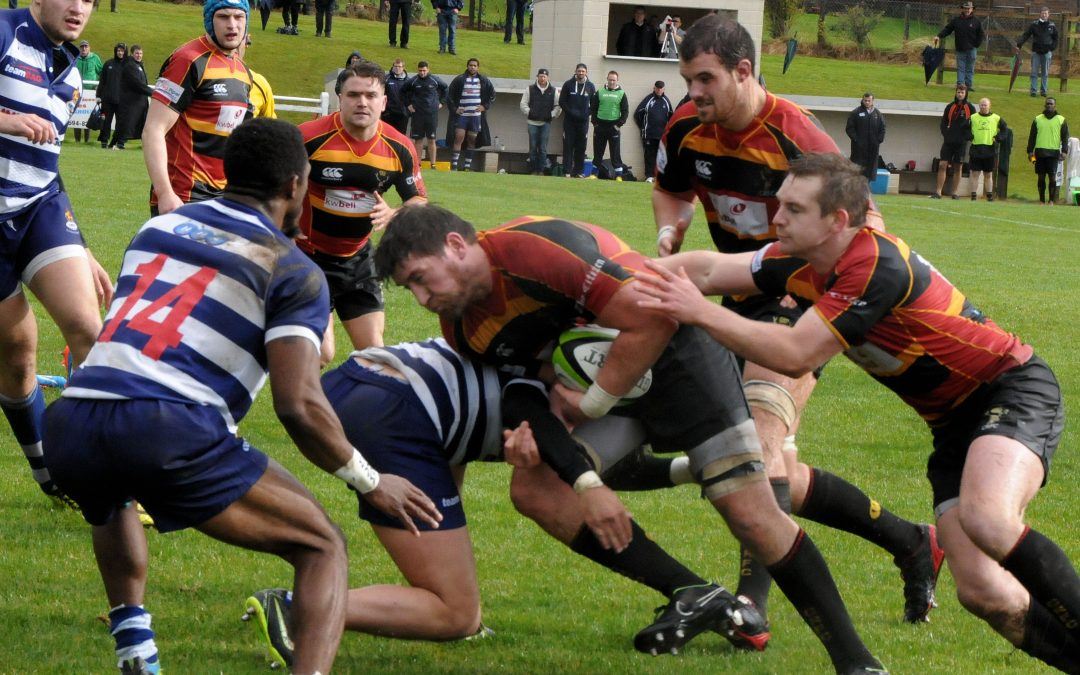 Blackheath 38-29 Cinderford