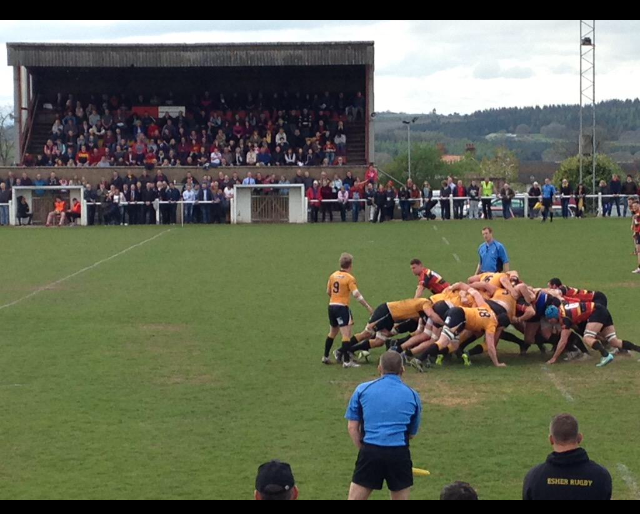 Cinderford 29-10 Cornish All Blacks