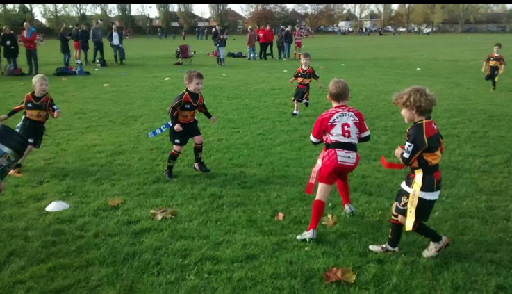 Cinderford Mini and Juniors update