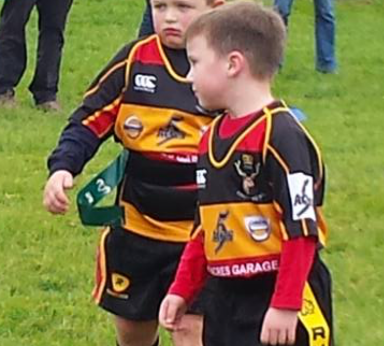 Cinderford Mini and Junior Round up