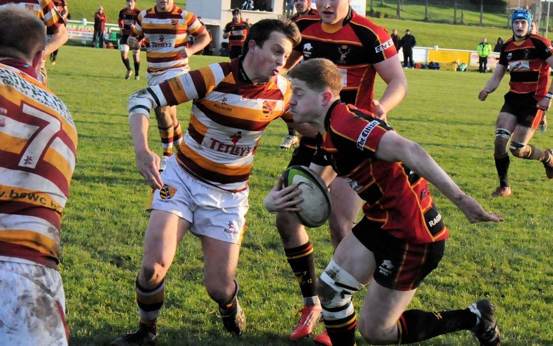 Cinderford v Richmond team news