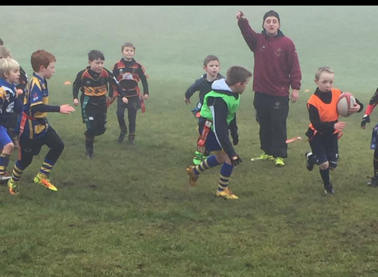 Cinderford u7s and u8s