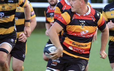 Hornets 33 – Cinderford 24 – Match Report