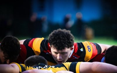 Cinderford Clinch Convincing Home Win Over Hornets